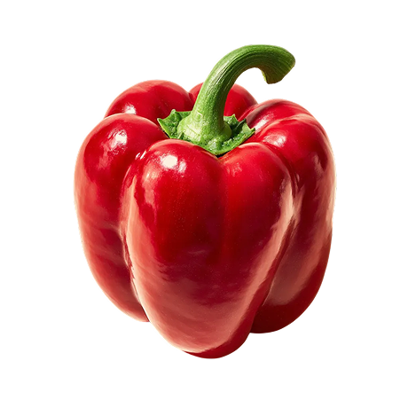 Bell pepper