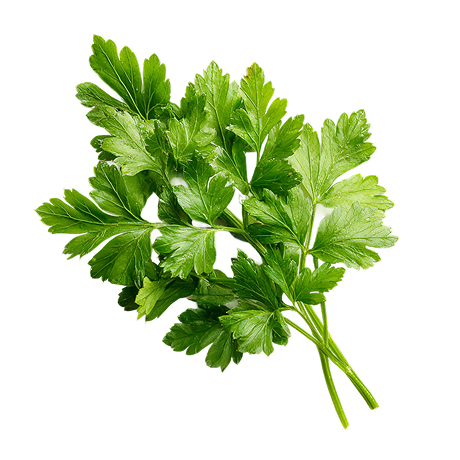 Parsley
