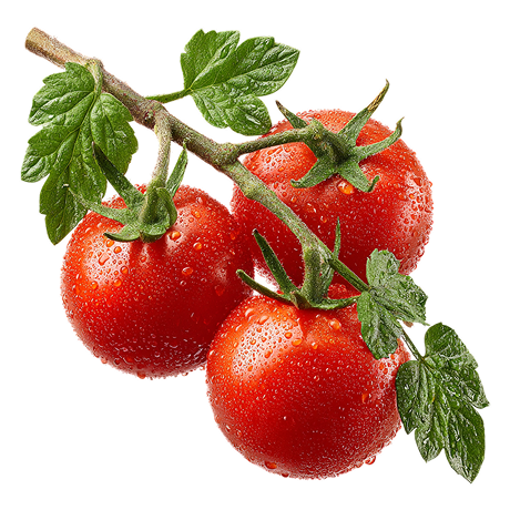 Tomato